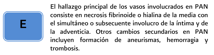 4. dx 3 - GPC-IMSS-370-12